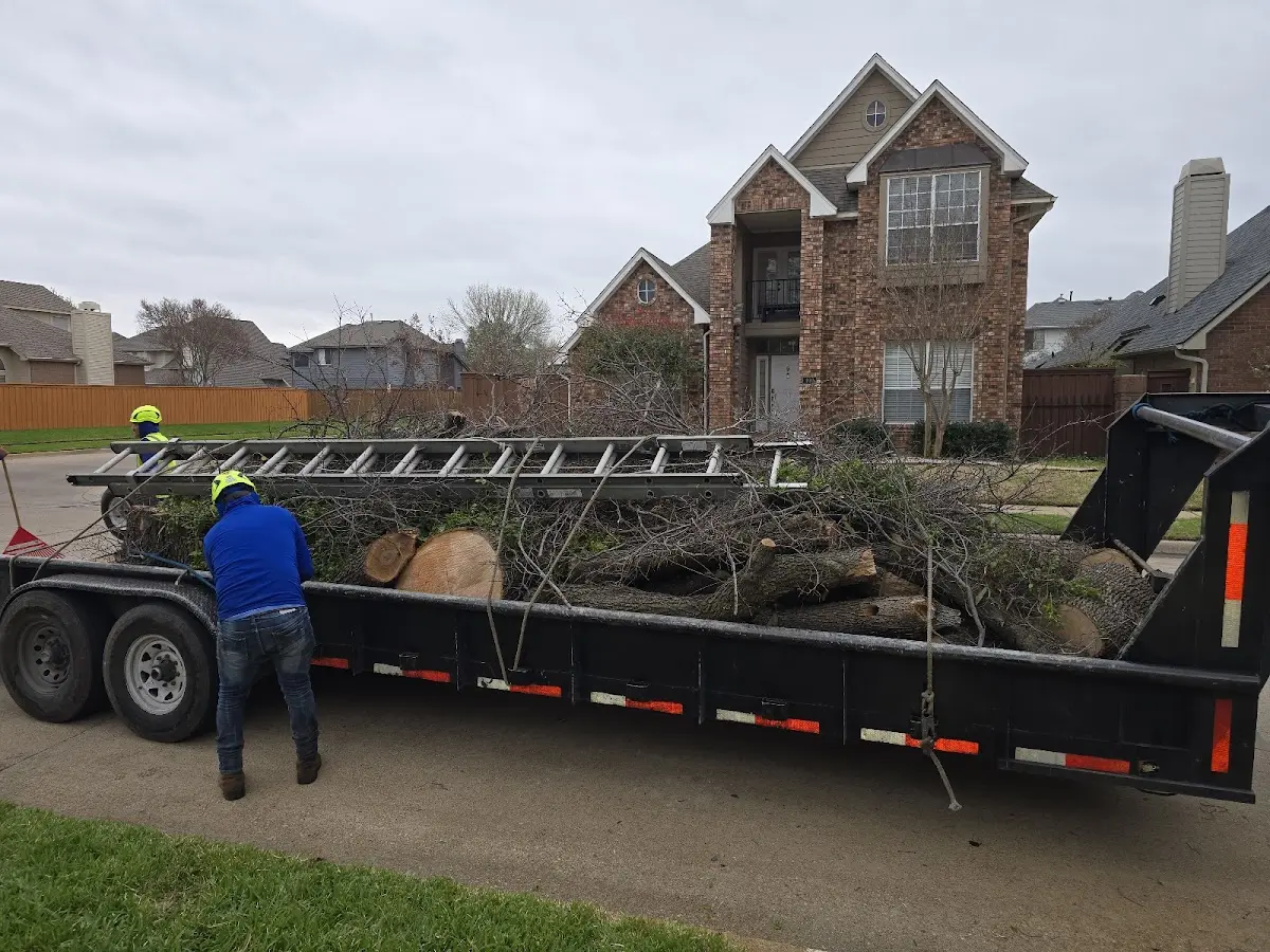 Expert Lot Clearing with proper safety equipment in Marcola